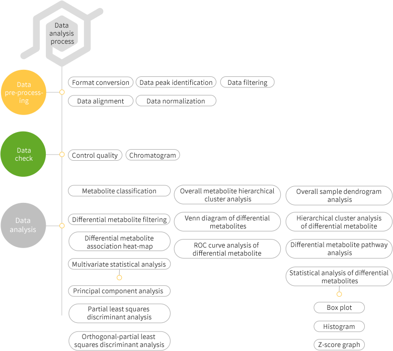 Products & Service/Untargeted Metabolomics/GC-MS Metabolomics